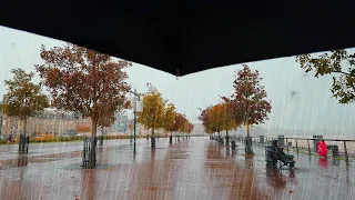 Walking in the Heavy Rain - dock area | Nov 2022|Bordeaux 4k France| ASMR Rain sounds for sleeping