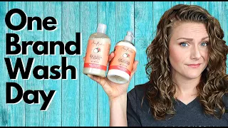 ONE BRAND WASH DAY with Shea Moisture on WAVY HAIR