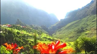 Тенерифе. Канарские острова Испании. Tenerife. Canary Islands in Spain.