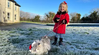 Adorable Little Girl Takes Her Cat For A Walk! (Cutest Ever!!)