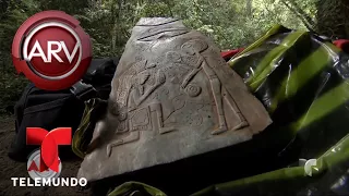 Este hallazgo probaría que los extraterrestres existen | Al Rojo Vivo | Telemundo