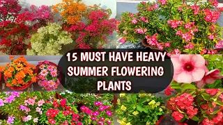 15 MUST HAVE HEAVY SUMMER FLOWERING PLANTS FOR THIS SEASON | LIST OF BEST SUMMER FLOWERS WITH NAMES