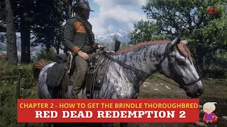 How to Get the Brindle Thoroughbred Racehorse  - Chapter 2 - Red Dead Redemption 2
