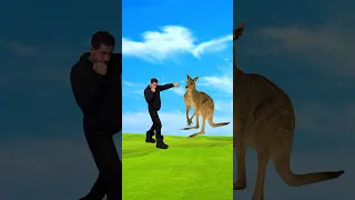🤔 HOW TO SURVIVE A KANGAROO ATTACK🦘
