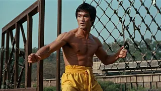 The Legend Bruce Lee Martial Arts Mastery