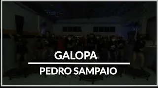 Galopa - Pedro Sampaio | Coreografia Micarla Gomes | @micarlagomes_