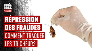 Arnaques, fraudes, restaurants insalubres... Immersion avec la répression des fraudes