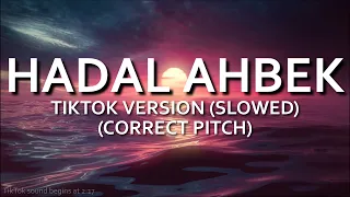 Hadal Ahbek (TikTok Version Slowed) (CORRECTED PITCH) - Issam Alnajjar