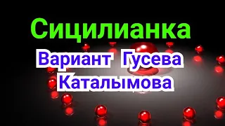 30) Лекция. Сицилианская защита.   Вариант  Гусева--Каталымова.