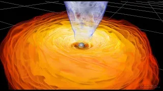 Black Hole Magnetohydrodynamic Simulation