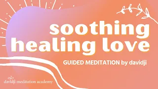 20 Minute Guided Meditation for HEALING 💜 Self Healing and Self Love Meditation | davidji