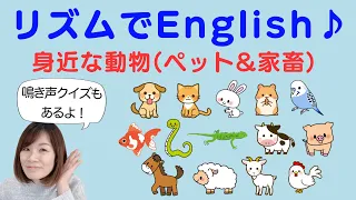 【リズムでEnglish♪】楽しく！「身近な動物(ペット&家畜)」を英語で言ってみよう！