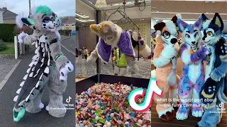 Furry TikTok's I Found In A Claw Machine