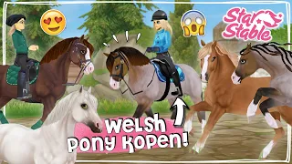 IK KOOP DE NIEUWE WELSH PONY’S! + SPECIALE GANG 🤩 - Update | Star Stable Online | Daphne draaft door