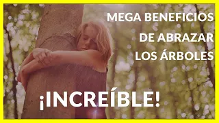 🌳El SECRETO de abrazar a los Árboles |  Beneficios de ABRAZAR los Árboles🔆