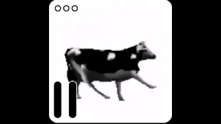 Dancing cow longer version