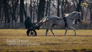 PRO_Лошадей. Заветный. 7 ноября 2021 года