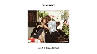 Dream Tunes - All The Small Things