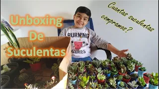 Unboxing de Suculentas