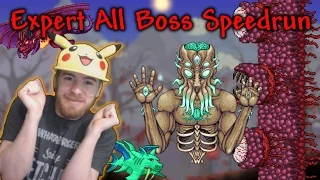 Terraria Speedrun: Expert ALL BOSS 5:49:17 (WR)