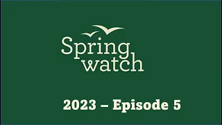 Springwatch 2023   Episode 5