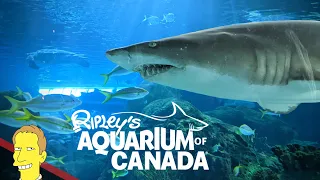 Ripleys Aquarium Toronto, Ontario | Full Aquarium Tour!