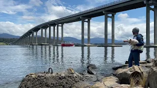 What Becomes of the Hobart Bridges?