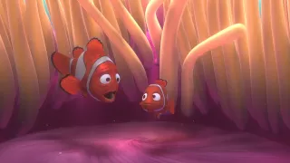 Alla Ricerca di Nemo 3D - Il risveglio | HD