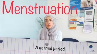 Menstruation and Muslims - McMuslim.tv Health Show