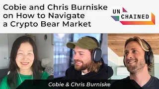 Cobie and Chris Burniske on How to Navigate a Crypto Bear Market