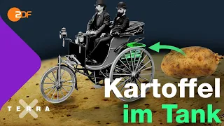 Die steile Karriere der Kartoffel | Terra X plus