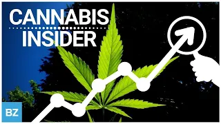 Cannabis Insider | Benzinga Stock Market Live