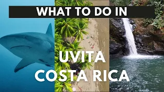 Exploring Uvita, Costa Rica: Food, Waterfalls, Beaches, and the Issues facing Shark Conservation