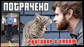 Потрачено. Разговор с котом. Лучшие приколы, смешные видео и фейлы