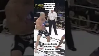 Ricardo Arona vs Wanderley silva