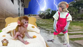 YiYi so worry when baby monkey Yumy cried because it was raining and thundering
