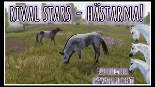 Rival Stars Horse Racing - Hästarna och saker jag vill ha till SSO!