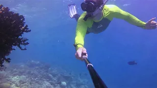 Snorkeling with Sea Turtles (Embudu Village Maldives)