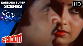 Kannada Scenes | Ambrish And Ambika Romantic Scenes | Chaduranga Kannada Movie | Vajramani
