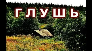 ГЛУШЬ.ЖУТКО.НАХОДКИ!