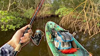 Fishing HIDDEN Mangrove Tunnels!! (Bucket List Fish)