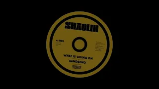 Sandeeno - What Is Going On