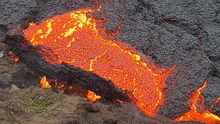 Lava species conquer new lands! Lava anaconda and lava turtle spotted! 😮 05.08.22 Iceland