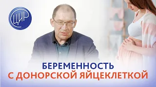 ЭКО с донорской яйцеклеткой. Особенности ведения беременности после ЭКО с донорской яйцеклеткой.