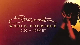 Señorita World Premiere - 10PM ET tonight