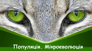 Популяція, її характеристики