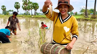 We Catch Fish On The Rice Field By Traditional Tool| Catch Clean Cook Evil Soup|