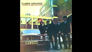 Flamin' Groovies - Shake Some Action (video)