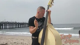 ROCKY THEME SONG (Upright Slap Bass Cover) - Djordje Stijepovic