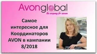 Самое интересное для координаторов в кампании 8 2018